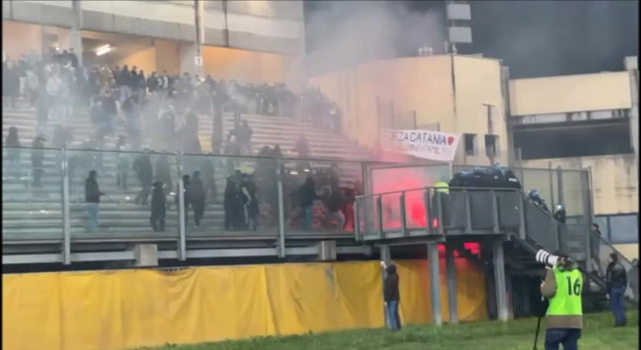 Padua and Catania fans stormed the pitch to steal the ultras' banner: they were stopped by the police